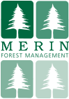Merin Forest Management Logo